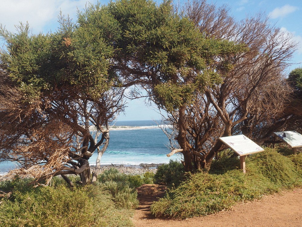 2018 - 05 03 - May 3rd - Grace Town Margaret River