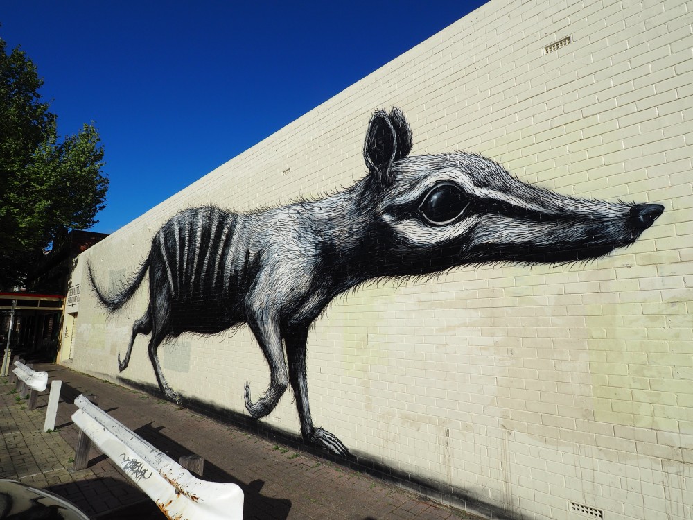 2018 - 10 07 - October 7th - Freo Art