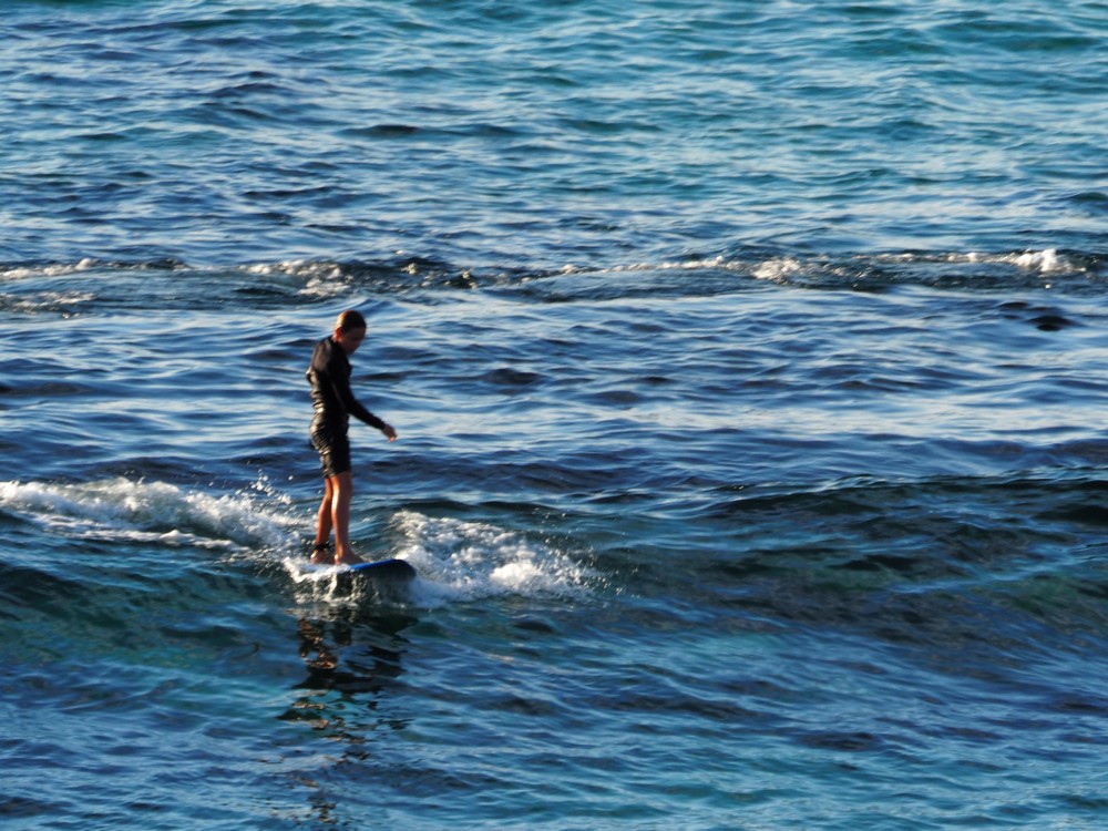 Margaret River - Yallingup - Rabbits - Rabbit Hill
