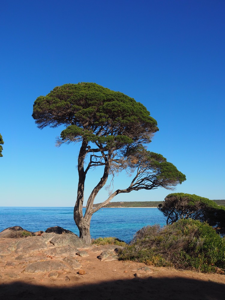 Margaret River - Bunker Bay - Shelley Cove